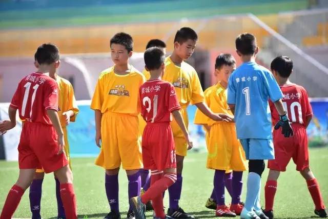 国乒阵容亮相WTT冠军赛，焦点人物引关注
